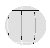 orangepeel-proj.gif - 1809 Bytes